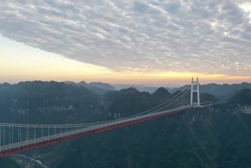 20220525117132.jpg 36.jpg