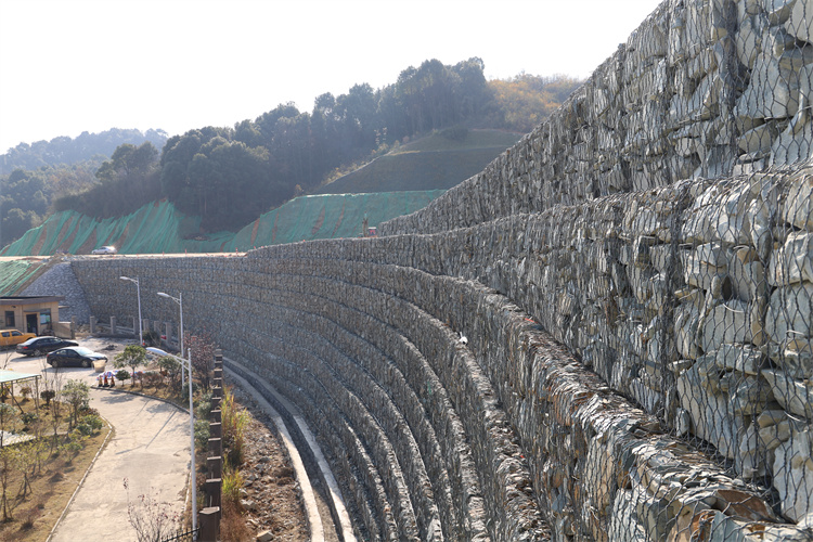 20221128203755.jpg 20221128_104027_027.jpg